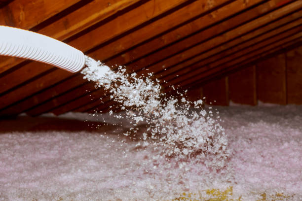 Best Insulation for Specific Applications in Varnville, SC