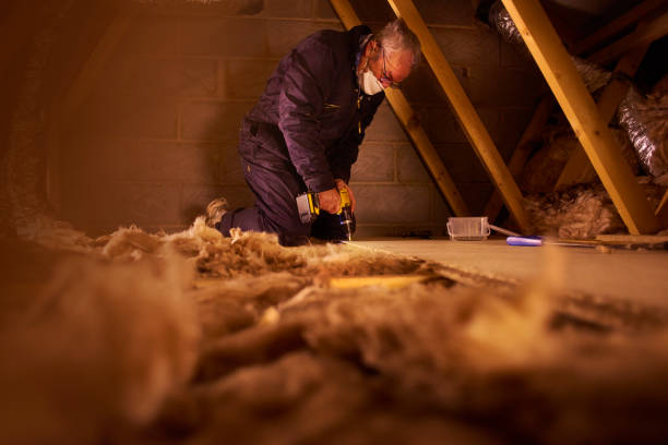 Best Insulation Installation Services in Varnville, SC