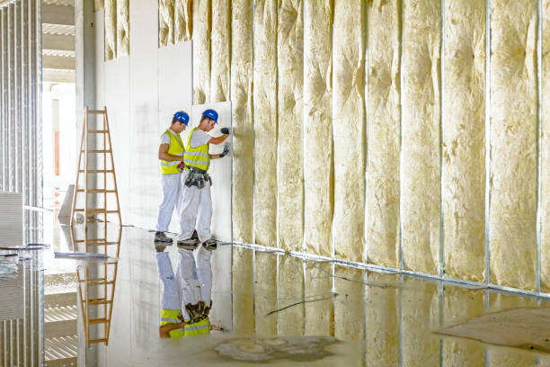 Best Types of Insulation in Varnville, SC